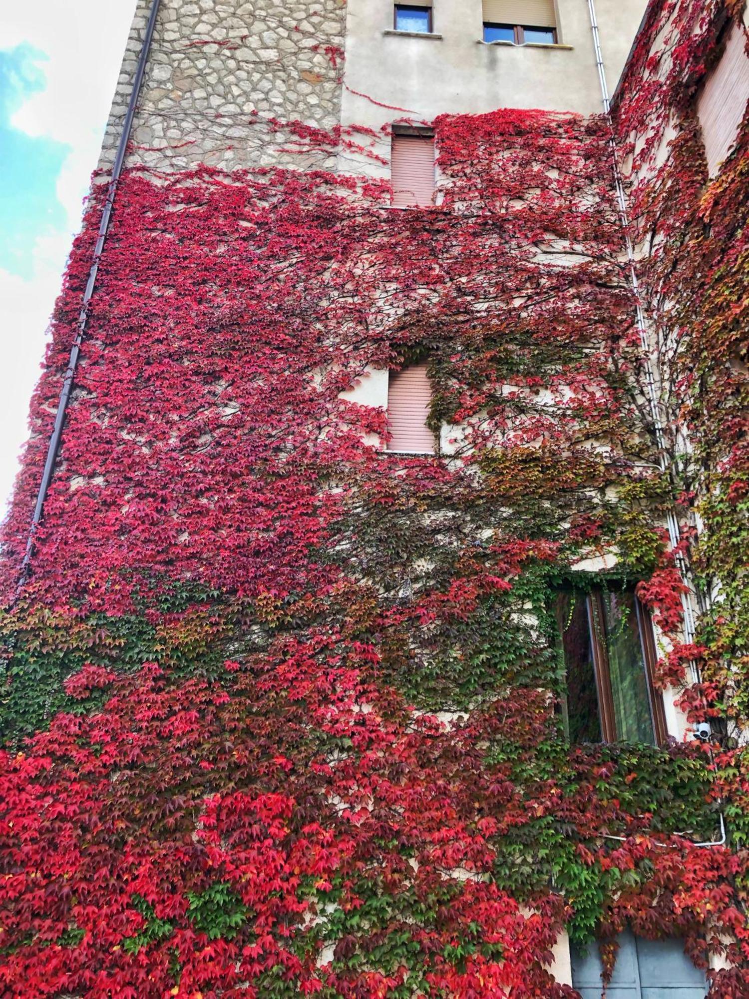 Hotel Colucci Nusco Eksteriør bilde